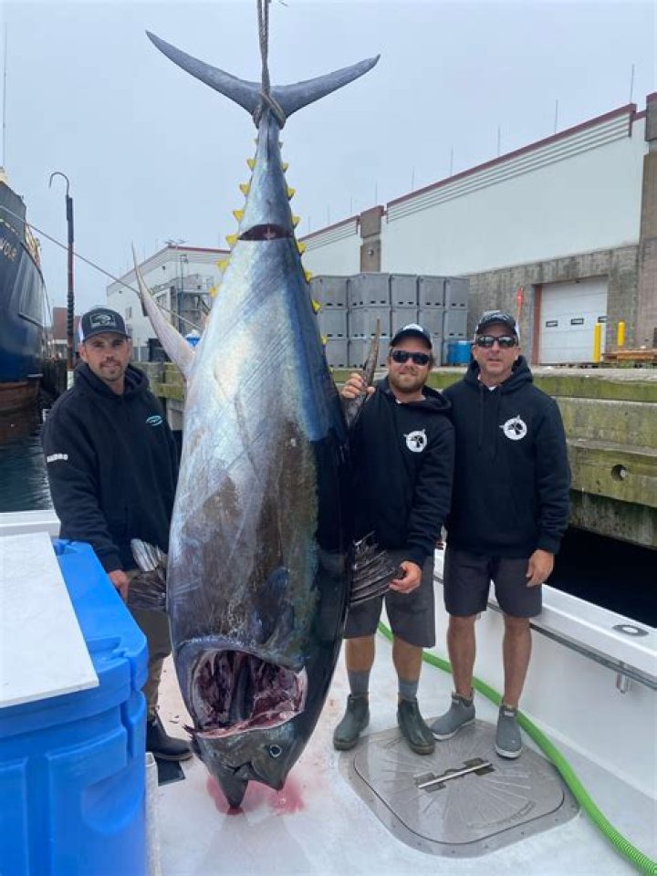 Wicked Tuna: Captain Geordie Sousa Age, Wikipedia, Biography, Wife, Net Worth