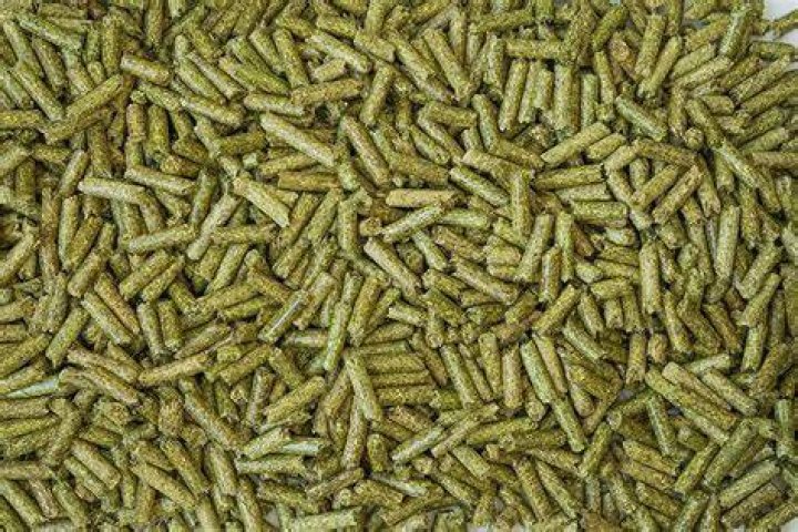 Will alfalfa pellets put weight on a horse