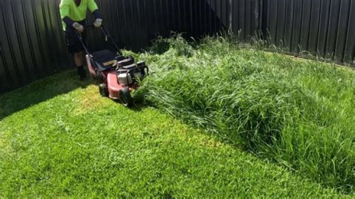 William Czarnecki Better known as Bill shot Dead while mowing his lawn, What happened?
