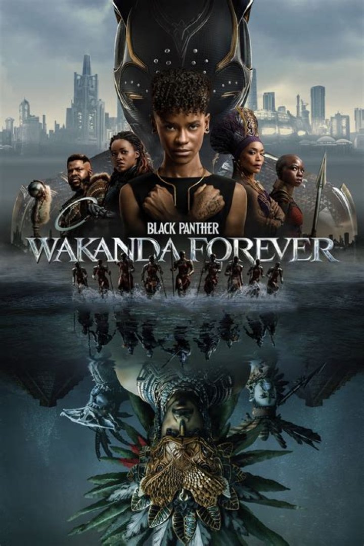 With ‘Wakanda Forever’ now on Disney Plus, when can we expect the next ‘Black Panther’ movie or series?